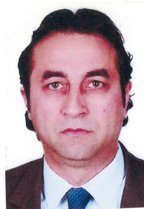 Mevlüt SARITAŞ